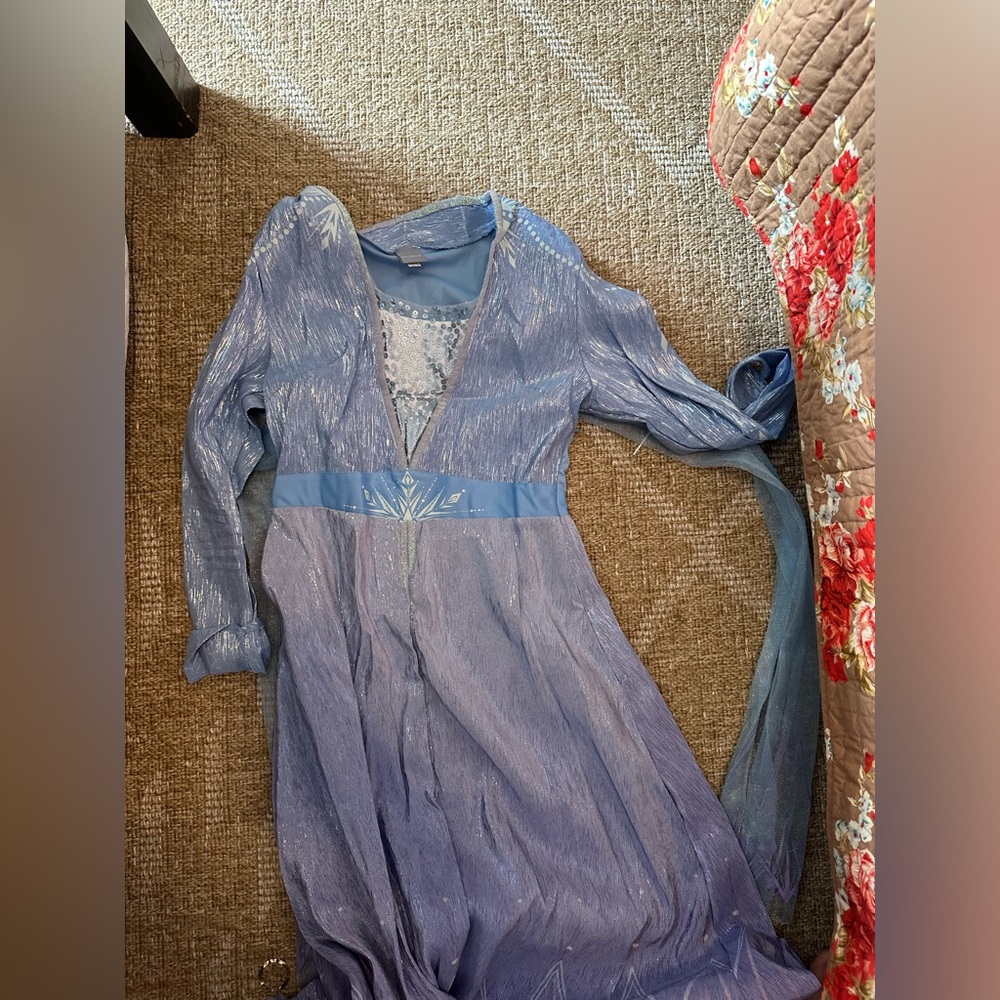 Elsa (frozen) Dress